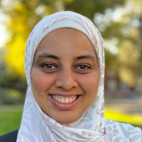 Alaa Abdelfattah